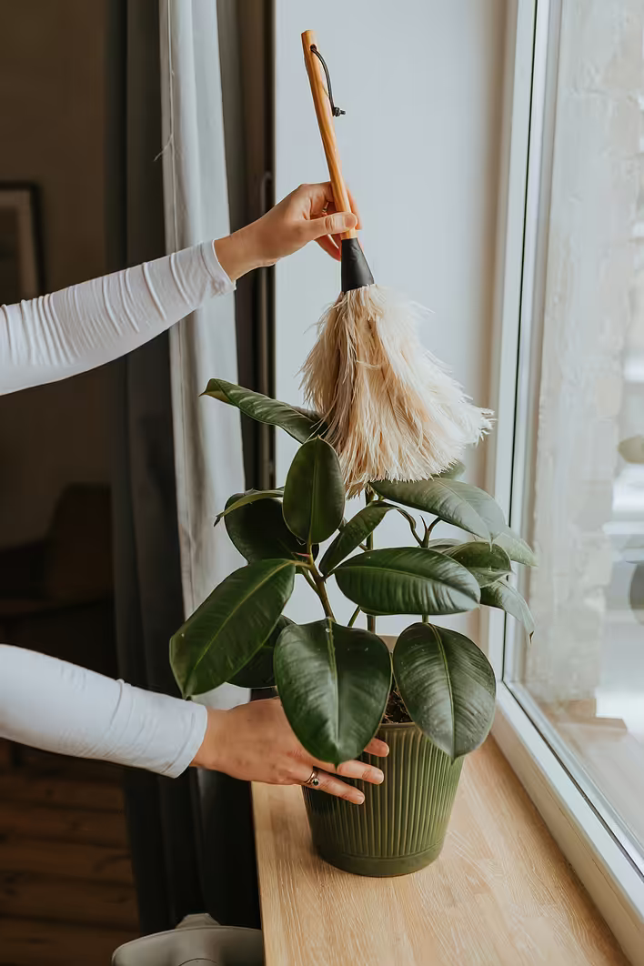 daiga-ellaby-uen_k0mtuGY-unsplash.jpg