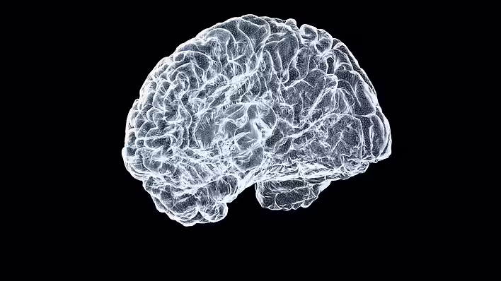Що таке Brain Rot?
