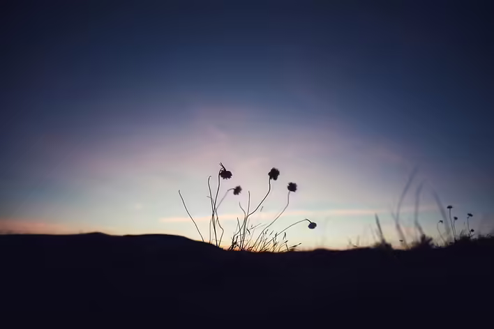 Що таке Віньєтування (Vignetting)?