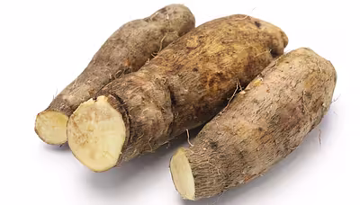 Yam: gigantyczny korzeń, który karmi tropiki