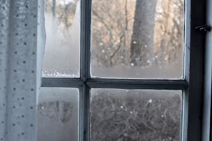 Why Windows Sweat: How to Determine the Cause of Condensation by Its Location