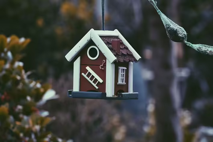 harper-van-mourik-0yfWDwHOB0g-unsplash.jpg