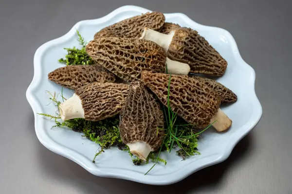 depositphotos_790413382-stock-photo-raw-spring-mushrooms-morchellas-true.jpg