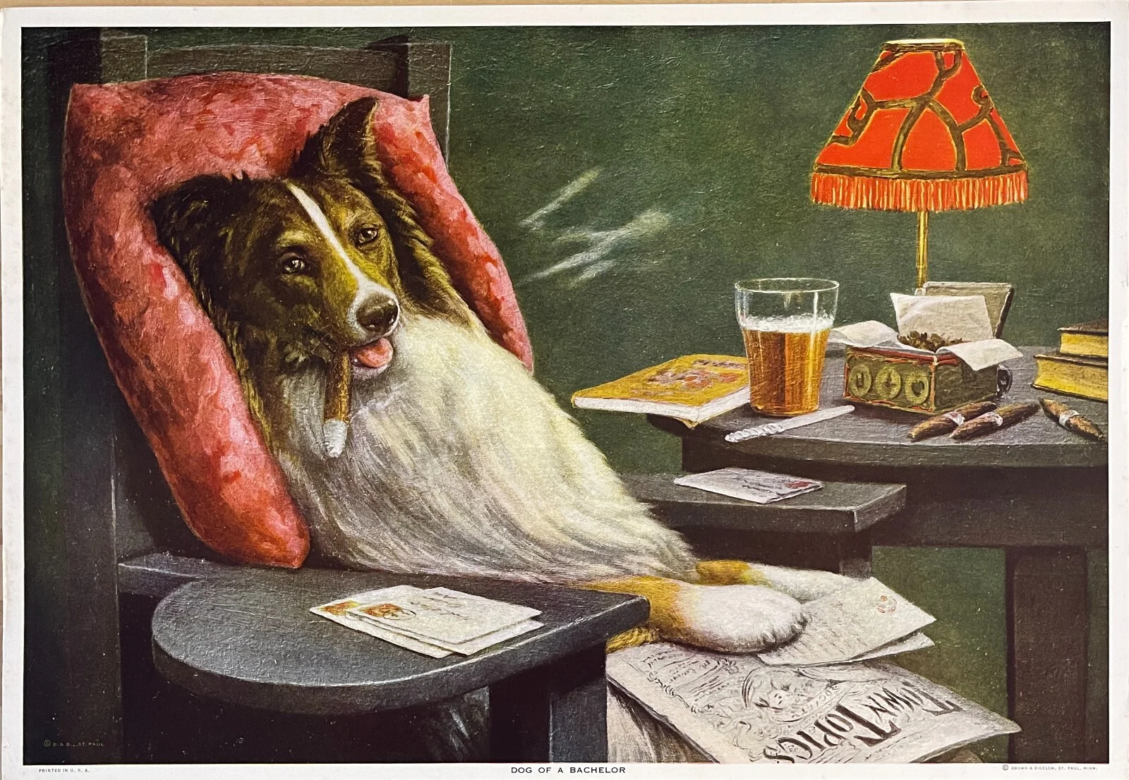 A Bachelor's Dog