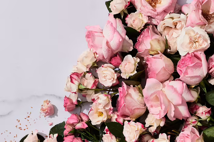 Roses Without Words: How a Bouquet Tells About Feelings