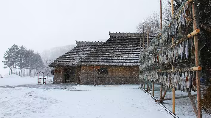 2244_01.jpg