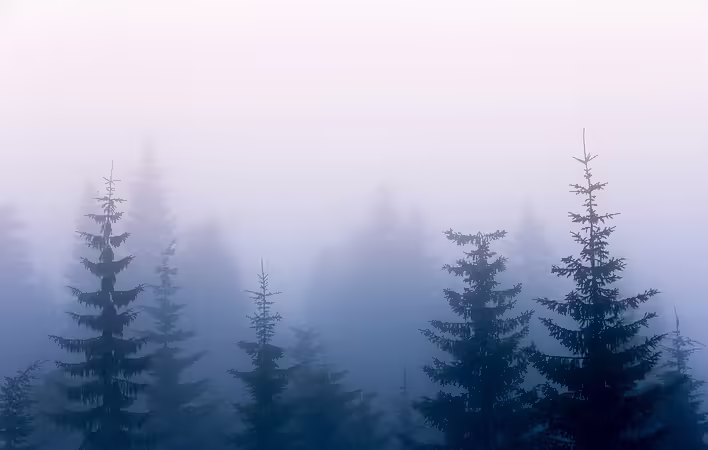 joakim-honkasalo-MHWwBuodg_k-unsplash.jpg