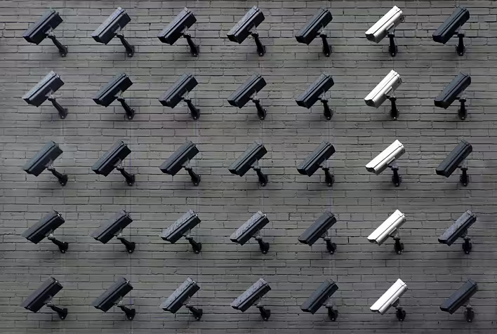 Що таке Інтерпол: секрети штаб-квартири
