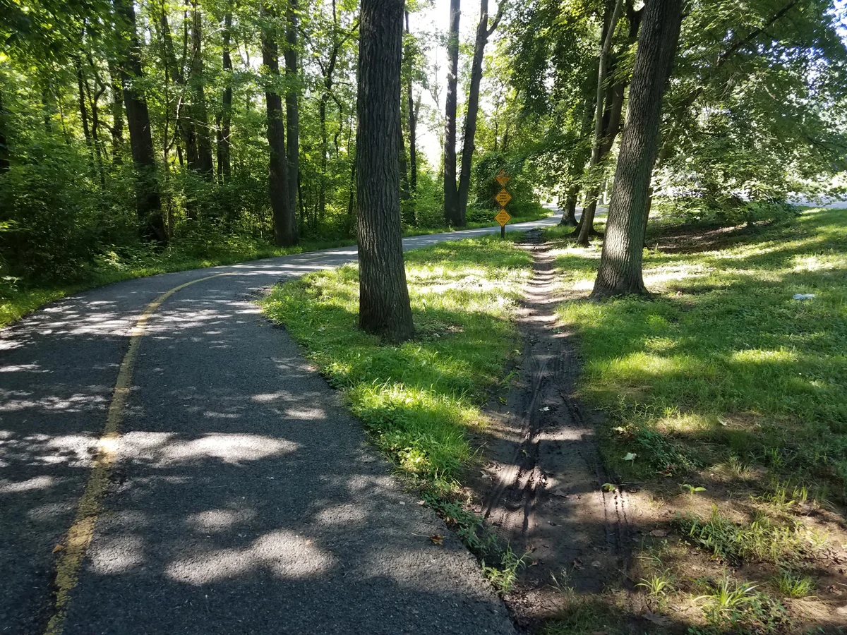 Desire-path-justin-Adobe-356092279.webp