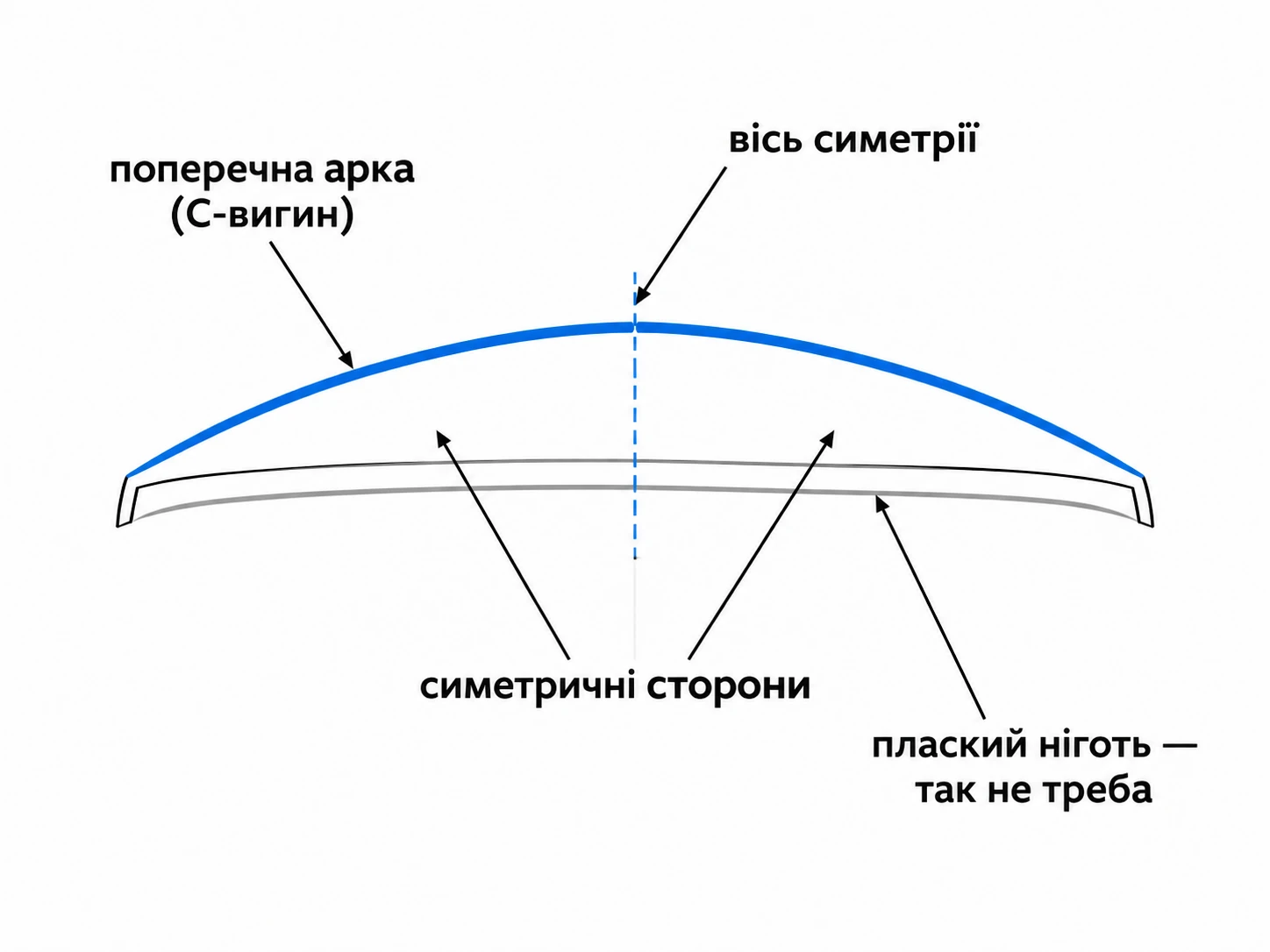 6a9052b3e6f94.webp