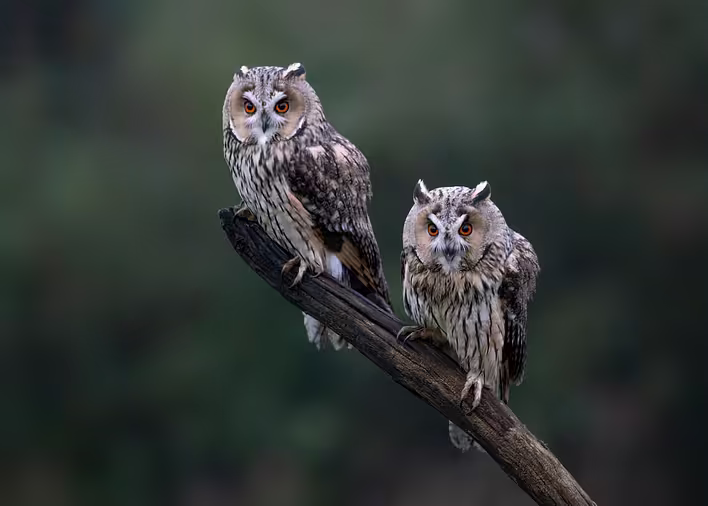 getty-images-jD6eGyHcUfo-unsplash (1).jpg