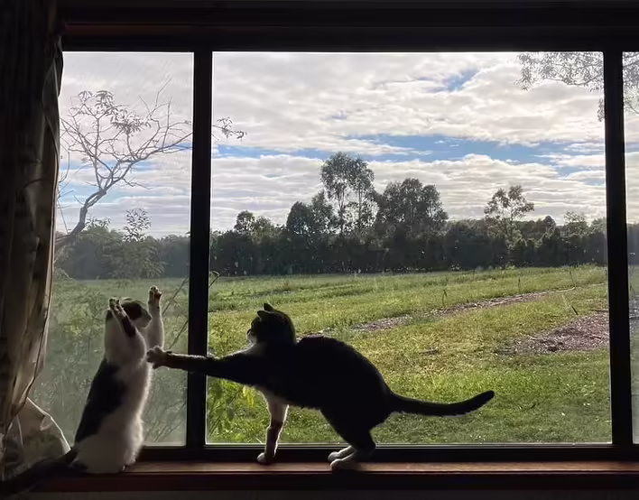 Чому видалити Instagram — погана ідея (і водночас найкраща з можливих)
