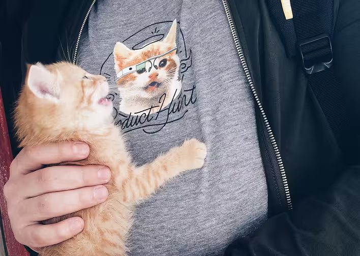 Ми на ProductHunt 🚀