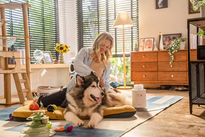 Grooming: Why it is the key to your pet's health and comfort?