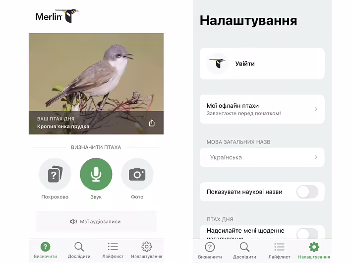 інтерфейс Merlin Bird ID