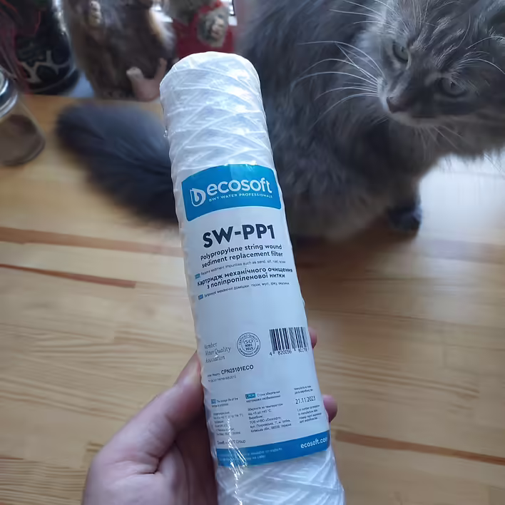 EcoSoft SW-PP1