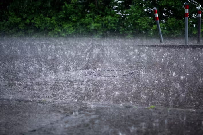 Petrichor: die Magie des Geruchs von Regen