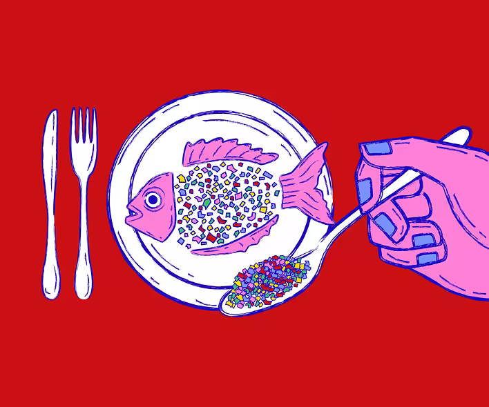 Dishwashers: how the popular slang term appeared and what it means