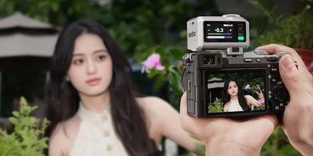 6a8032e9477e8.webp