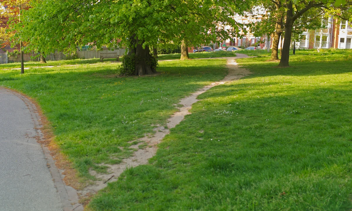 Paths of Desire: When the City is Designed by People, Not Architects