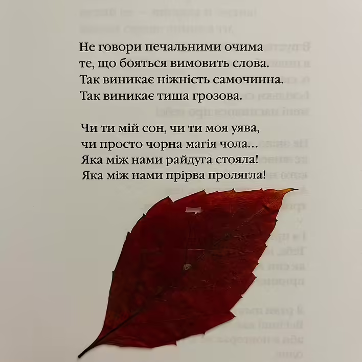 IMG_9023 (1).jpg