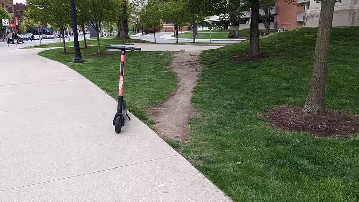 Desire_path_-_52849400711.jpg