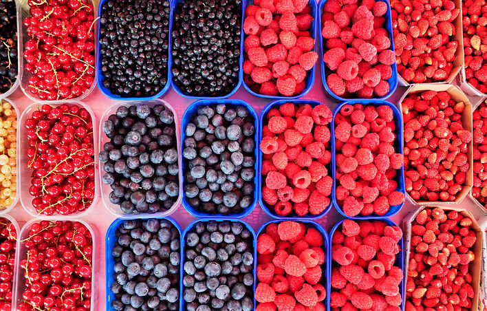 Beeren, die in der Ukraine angebaut werden: Überblick über die häufigsten Kulturen