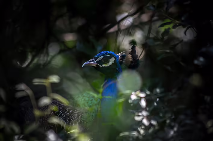 karim-manjra-gpD0YVTY9To-unsplash.jpg